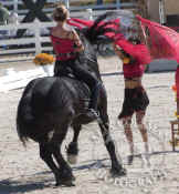 DAD_07_849_stock.jpg (82949 bytes)