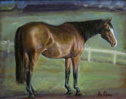 brown_horse2.jpg (55561 bytes)