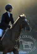 horse_and_rider_235.jpg (43354 bytes)