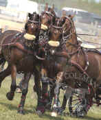 the_larrels_07_064stock.jpg (93214 bytes)