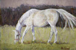 white_horse.jpg (79531 bytes)